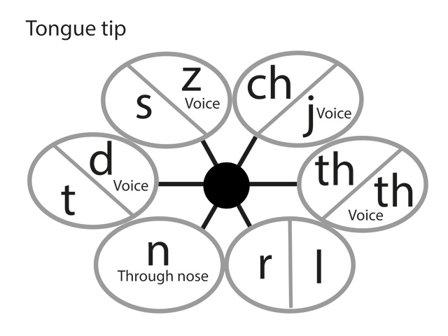 Linguistic Features That Distinguish Language