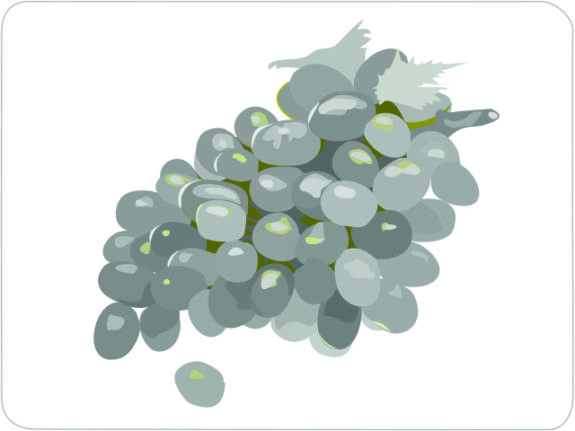 Grapes