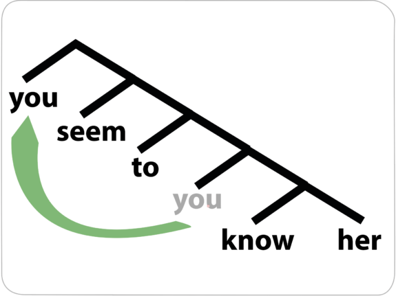 Framework Framework