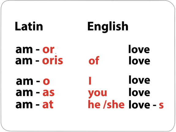 Grammar2 Grammar2