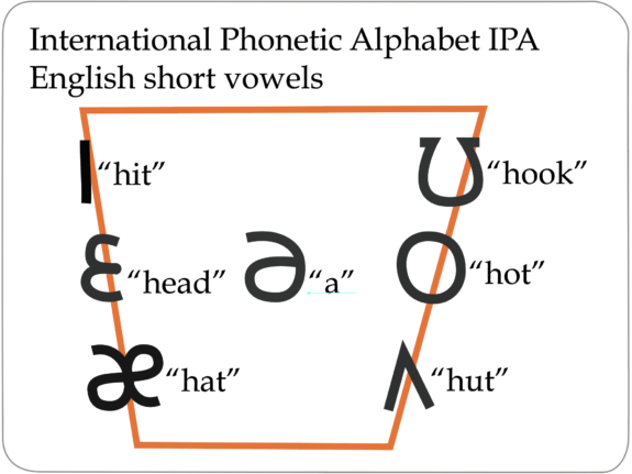 IPA