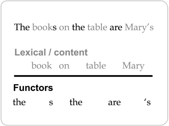 Functors